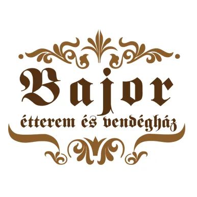 Partner logó